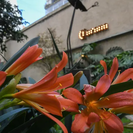 Casa Franca Recoleta Hostel Boutique-2