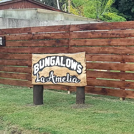 La Amelia-2